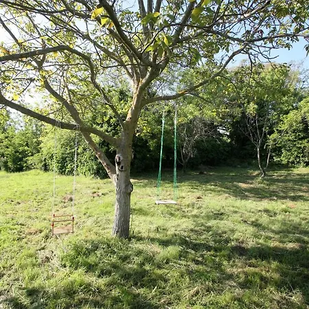 Σπίτι διακοπών House With A Parking Space Sinozici, Istria - Sredisnja Istra - 11629